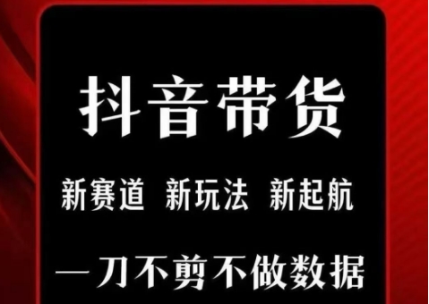 抖音短视频一刀不剪带货，不剪辑，不直播，每天发个视频，等着出单获取带货佣金-宇文网创