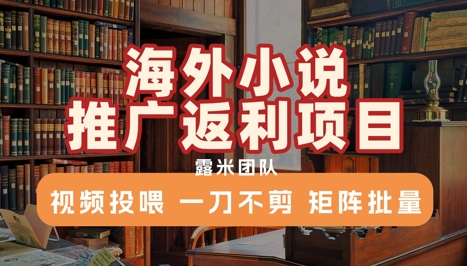 海外小说推广返利项目，视频投喂， 一刀不剪，矩阵批量-宇文网创