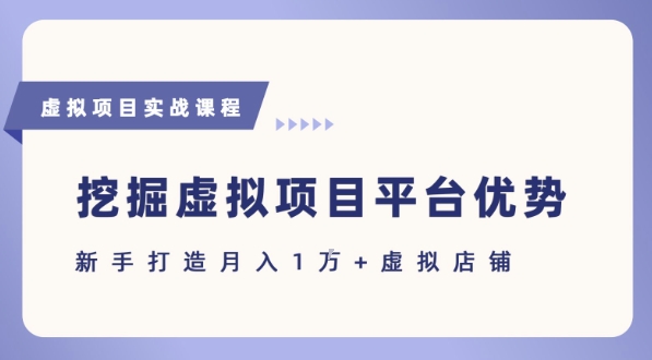 抓住虚拟项目各平台优势，新手轻松月入1W+(给出具体建议)-宇文网创