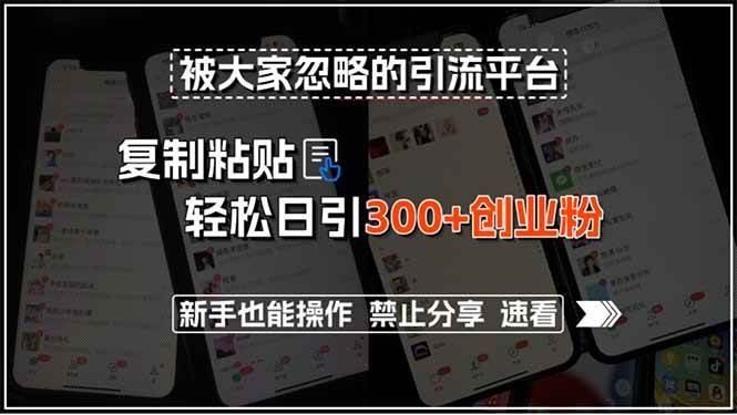 被大家忽略的引流平台，复制粘贴轻松日引300+创业粉，新手也能操作，禁…-宇文网创