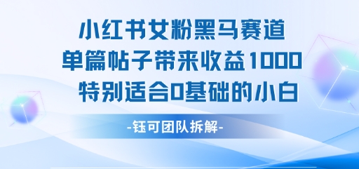 小红书女粉黑马赛道单篇帖子带来收益1k+，特别适合0基础的小白-宇文网创