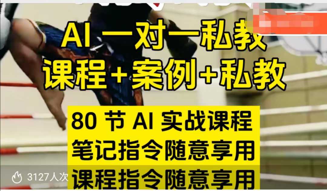 AI指令实战课，课程+案例，80节AI实战课程，笔记指令随意享用，课程指令随意享用（更新7月）-宇文网创