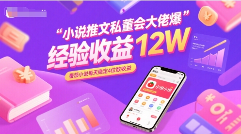 小说推文私董会大佬爆单经验分享收益12W，番茄小说每天稳定4位数收益-宇文网创