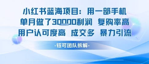 小红书蓝海项目，一部手机单月做了3W利润，小白也能月入过1W用户认可度高成交多-宇文网创