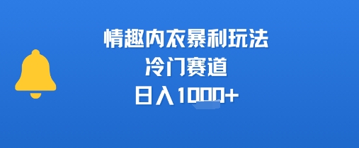 情趣内衣暴利玩法，冷门赛道，日入1k+-宇文网创