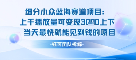 小众蓝海赛道项目：当天变现1k+适合新手操作 +适合长期玩-宇文网创