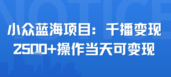 小众蓝海项目，千播变现2.5k+操作当天可变现-宇文网创