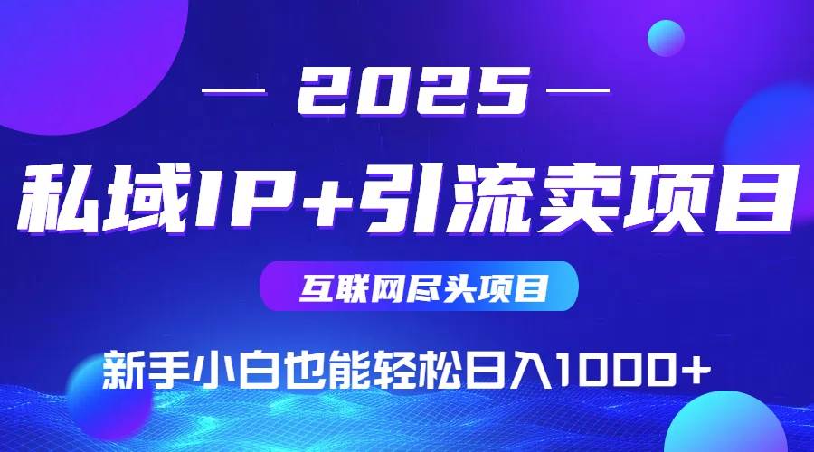 2025网创尽头项目，私域IP+引流，新手小白也能在家日入1000+-宇文网创