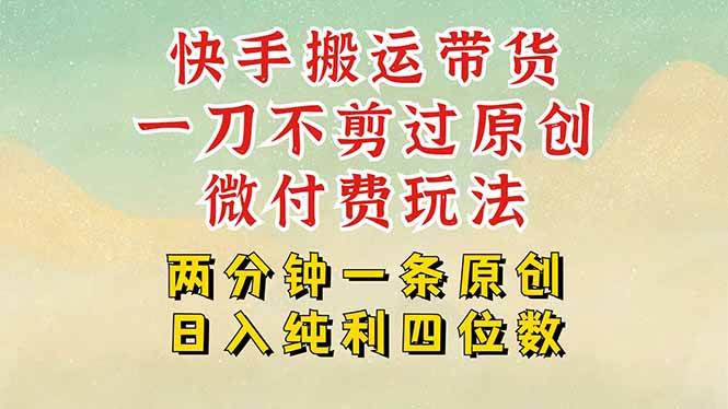 快手黑科技搬运带货，一刀不剪过原创，微付费投流玩法，轻松日入四位数…-宇文网创