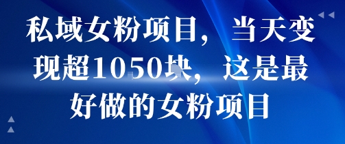 私域女粉项目，当天变现超1k，这是最好做的女粉项目，可放大操作-宇文网创