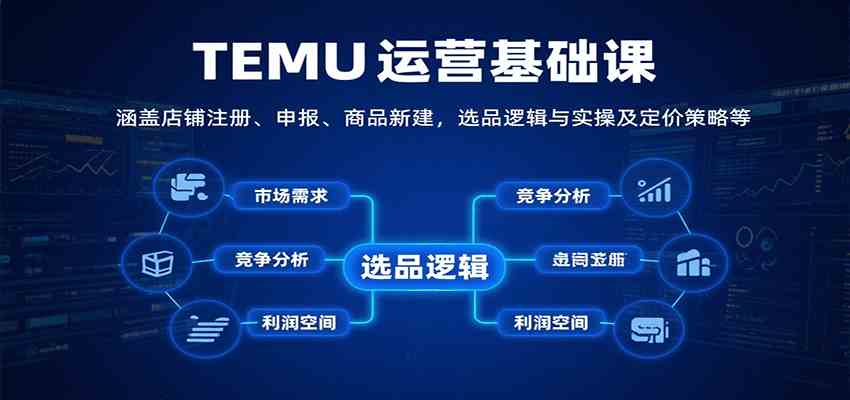 TEMU运营基础课：涵盖店铺注册、申报、商品新建，选品逻辑与实操及定价策略等-宇文网创