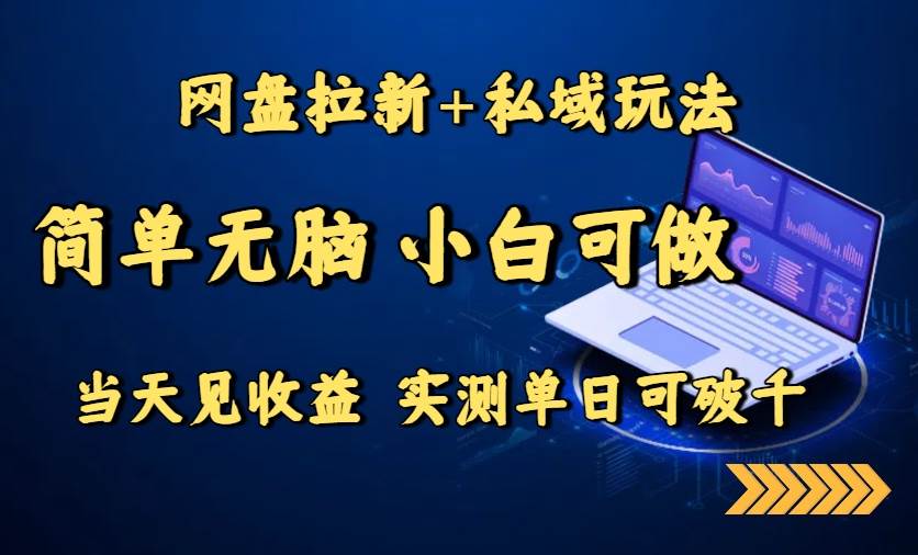 网盘拉新+私域玩法，简单无脑，小白可做，当天见收益，实测单日可破千-宇文网创