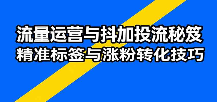 流量运营与抖加投流秘笈，含算法解析、爆款打造、精准标签与涨粉转化技巧-宇文网创