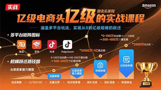 亿级电商头部卖家的实战课程：涵盖多平台玩法，实现从0到亿级规模的跃迁-宇文网创