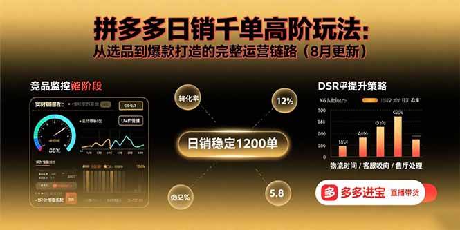拼多多日销千单高阶玩法：从选品到爆款打造的完整运营链路-宇文网创