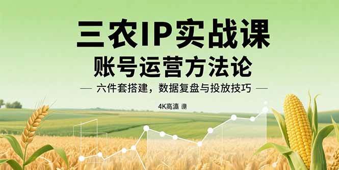 三农IP实战课：账号运营方法论，六件套搭建，数据复盘与投放技巧-宇文网创
