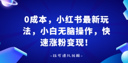 0成本，小红书最新玩法，小白无脑操作，快速涨粉变现-宇文网创