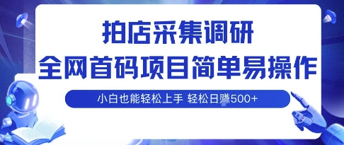 拍店采集调研，全网首码项目，简单易操作， 小白也能轻松上手，多账号操作，轻松日入5张【揭秘】-宇文网创