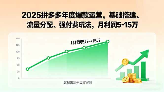 2025拼多多年度爆款运营，基础搭建、流量分配、强付费玩法，月利润5-15万-宇文网创