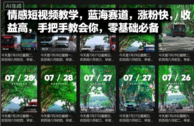情感短视频教学，蓝海赛道，涨粉快，收益高，手把手教会你，零基础必备-宇文网创