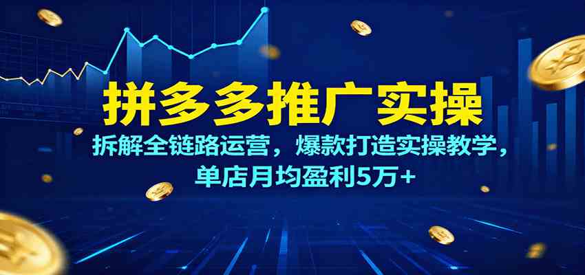 拼多多推广实操，拆解全链路运营，爆款打造实操教学，单店月均盈利5万+-宇文网创