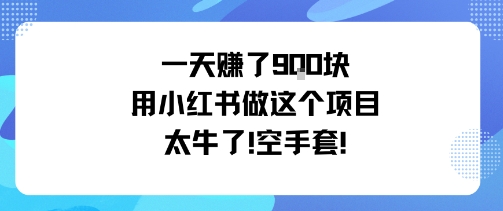 一天挣了9张用小红书做这个项目太牛了，空手套-宇文网创