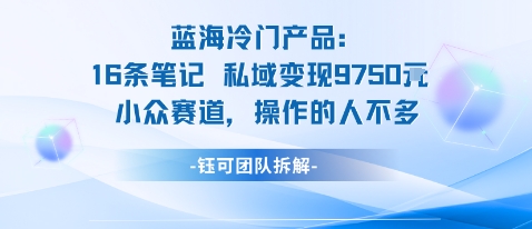 蓝海项目：16条笔记私域变现9750米小众赛道操作的人不多-宇文网创