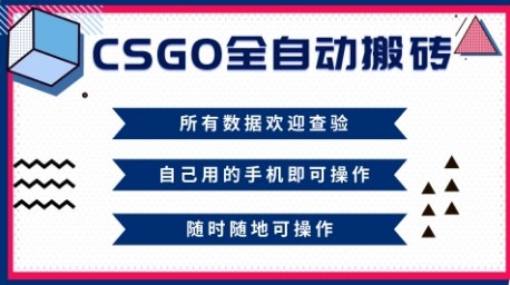 CSGO全自动搬砖，年底钱回家好项目，当天可拿到结果，新手小白轻松月入1W+【揭秘】-宇文网创