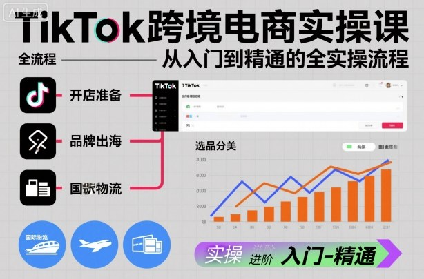 TikTok跨境电商实操课，从入门到精通的全实操流程-宇文网创