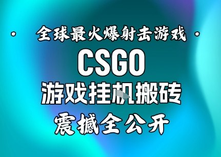 【年底大揭秘】基于全球最火爆的射击CSGO游戏挂G搬砖，日入5张+，震撼公开-宇文网创
