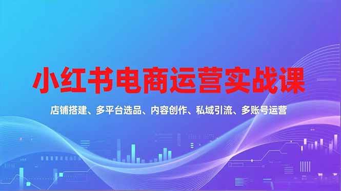 小红书电商运营实战课，店铺搭建、多平台选品、内容创作、私域引流、多账号运营等玩法-宇文网创