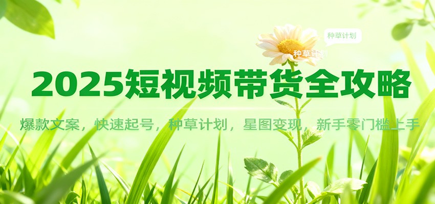 2025短视频带货全攻略：爆款文案，快速起号，种草计划，星图变现，新手零门槛上手-宇文网创