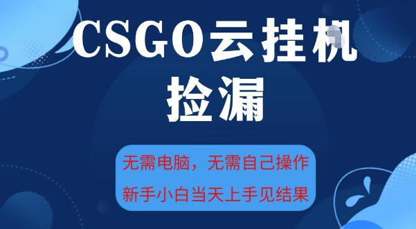 CSGO云挂G全自动捡漏，最新独家玩法，无需电脑操作，新手小白日入5张+【揭秘】-宇文网创