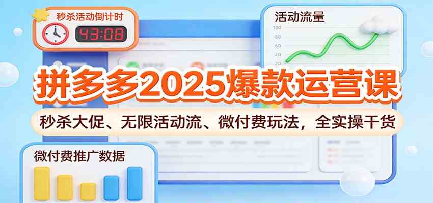 拼多多2025爆款运营课：秒杀大促、无限活动流、微付费玩法，全实操干货-宇文网创