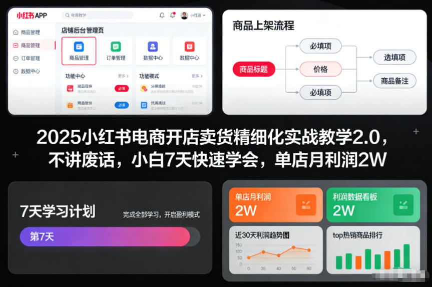 2025小红书电商开店卖货精细化实战教学2.0，不讲废话，小白7天快速学会，单店月利润2W-宇文网创