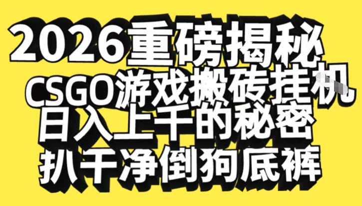 2026开年重磅解密，CSGO游戏搬砖挂G日入1k+的秘密，把倒狗的底裤扒干【揭秘】-宇文网创