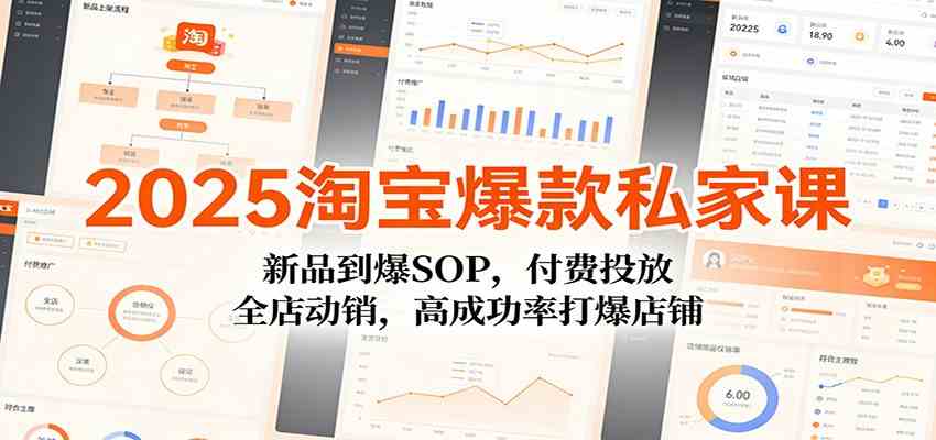 2025淘宝爆款私家课：新品到爆SOP，付费投放，全店动销，高成功率打爆店铺-宇文网创