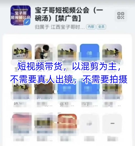 宝子哥头部团队短视频带货，以混剪为主，不需要真人出镜，不需要拍摄【更新12月】-宇文网创