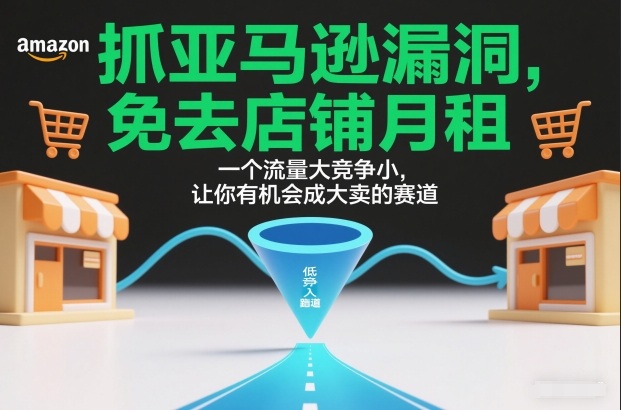 抓亚马逊漏洞，免去店铺月租，一个流量大竞争小，让你有机会成大卖的赛道-宇文网创