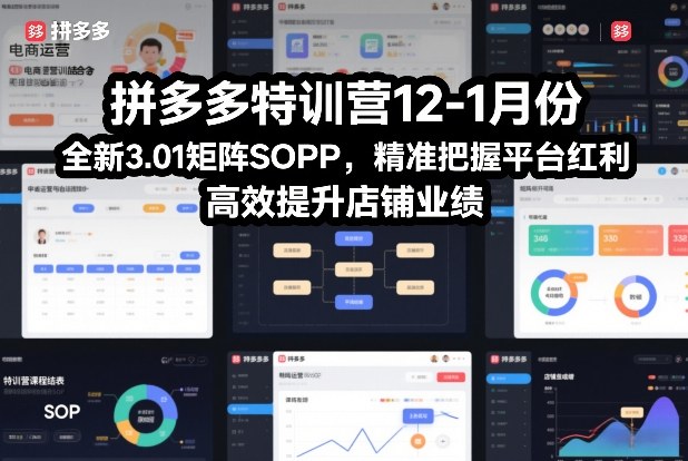 拼多多特训营12-1月份，全新3.01矩阵Sop，精准把握平台红利，高效提升店铺业绩-宇文网创