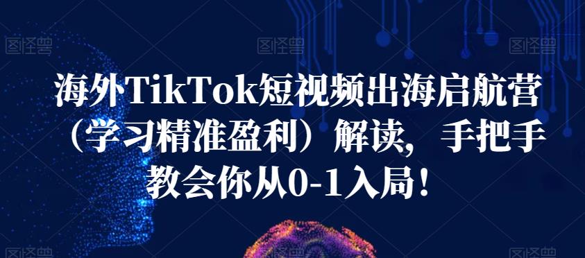 海外TikTok短视频出海启航营（学习精准盈利）解读，手把手教会你从0-1入局！-宇文网创