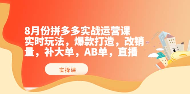 8月份拼多多实战运营课，实时玩法，爆款打造，改销量，补大单，AB单，直播-宇文网创