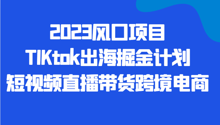 2023风口项目TIKtok出海掘金计划短视频直播带货跨境电商-宇文网创