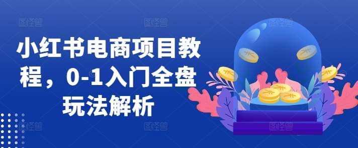 小红书电商项目教程，0-1入门全盘玩法解析-宇文网创