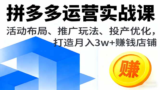 （16135期）拼多多运营实战课，活动布局、推广玩法、投产优化，打造月入3w+赚钱店铺-宇文网创