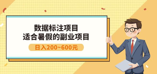 副业赚钱：人工智能数据标注项目，简单易上手，小白也能日入200+-宇文网创