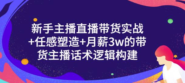 新手主播直播带货实战+信任感塑造+月薪3w的带货主播话术逻辑构建-宇文网创