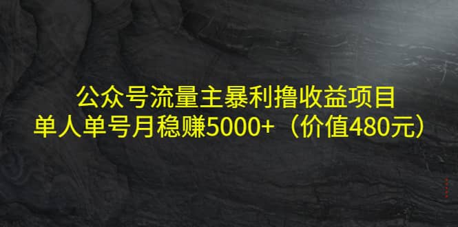 公众号流量主暴利撸收益项目，单人单号月稳赚5000+（价值480元）-宇文网创
