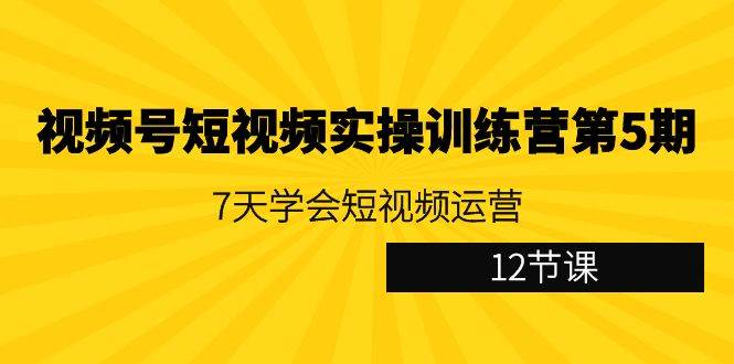 （9029期）视频号短视频实操训练营第5期：7天学会短视频运营（12节课）-宇文网创