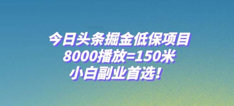 今日头条掘金低保项目，8000播放=150米，小白副业首选【揭秘】-宇文网创